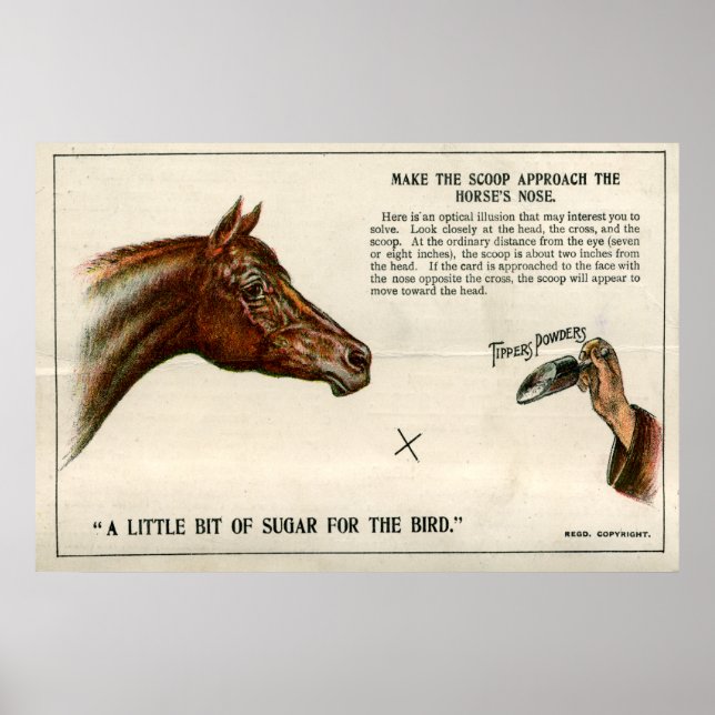 Póster Ilusión óptica 1896 (Frente)