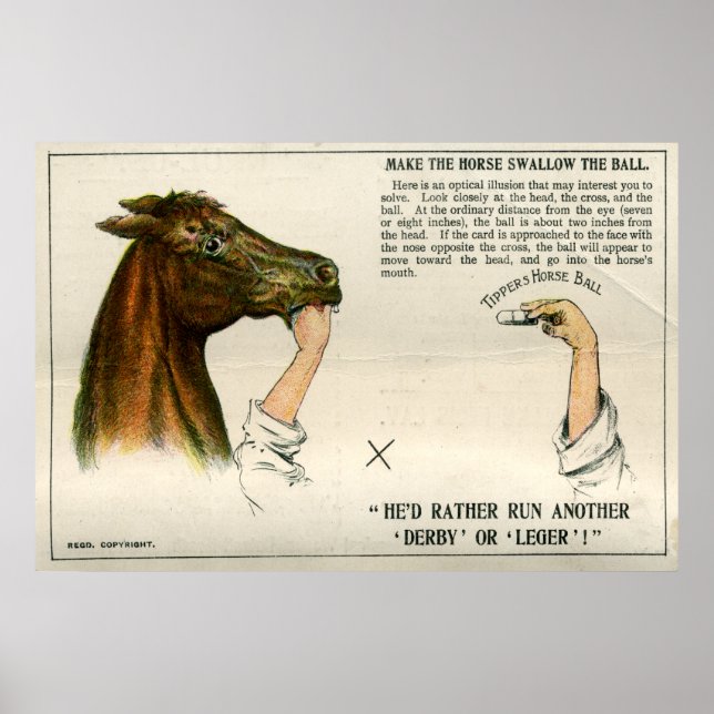 Póster Ilusión óptica, 1896 (Frente)