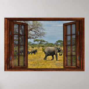 Póster Ilusión por ventana falsa - Elefantes africanos
