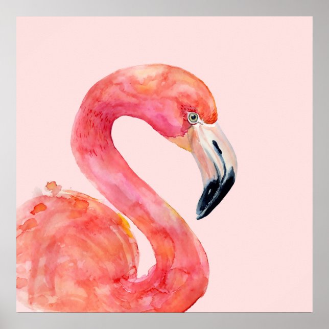 Póster Ilustracion acuático de verano rosa Flamingo Bird (Frente)