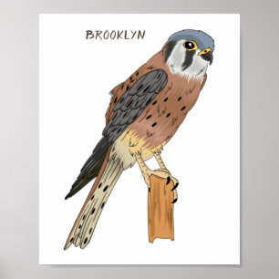 Póster Ilustracion americano de aves de Kestrel