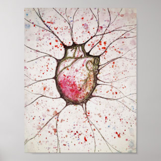 Póster Ilustracion anatómico cardíaco - Poster 8,5x11