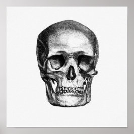 Póster Ilustracion anatómico vintage