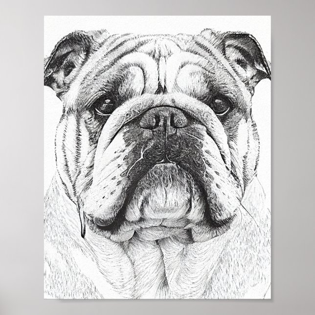 Póster Ilustracion animal de naturaleza salvaje Bulldog i (Frente)