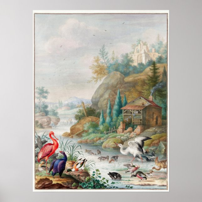 Póster Ilustracion Aves Vintage (Frente)