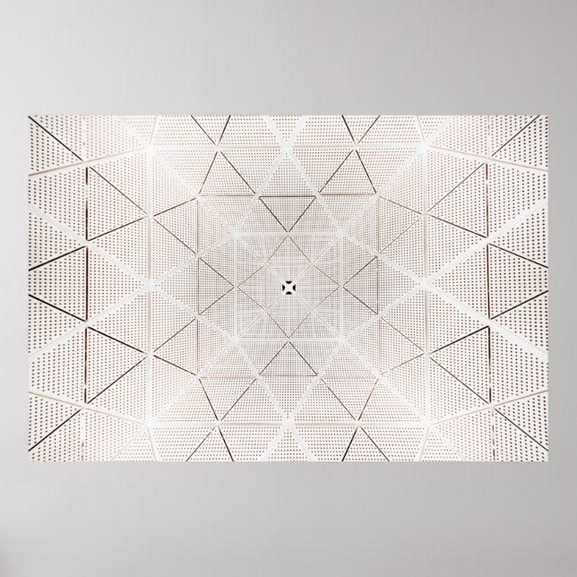 Póster Ilustracion blanco y negro (Frente)