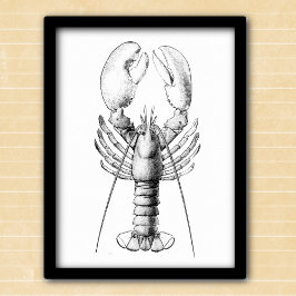 Póster Ilustracion blanco y negro de bogavante