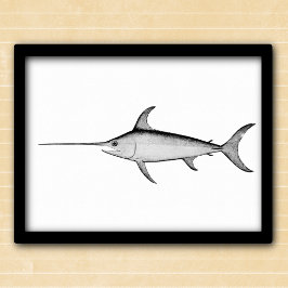 Póster Ilustracion blanco y negro de pez espada