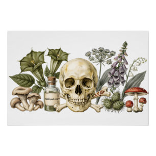 Póster Ilustración Botánica de Cráneo de Jardín de Veneno