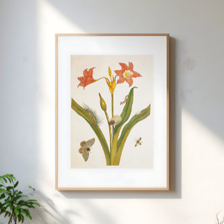 Póster Ilustración botánica de planta de flor vintage