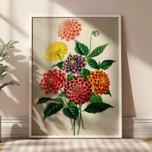 Póster Ilustración botánica de ramo de flores vintage
