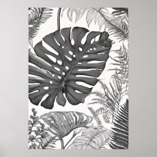 Póster Ilustración Botánica Monstera Helecho Planta Madre