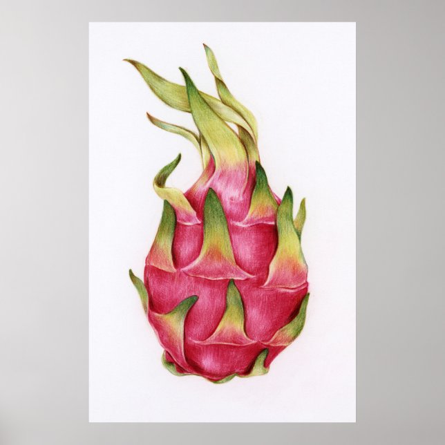 Póster Ilustracion botánico (Frente)