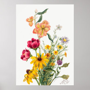 Póster Ilustracion botánico de época