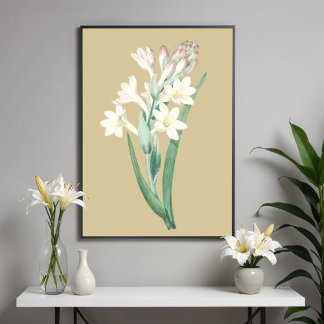 Póster Ilustracion Botánico de Flor Vintage