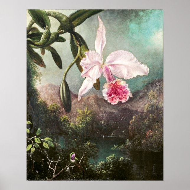 Póster Ilustracion botánico vintage (Frente)