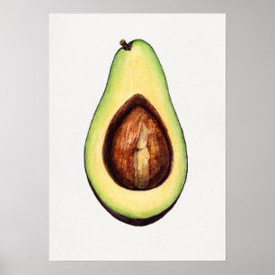 Póster Ilustracion botánico vintage