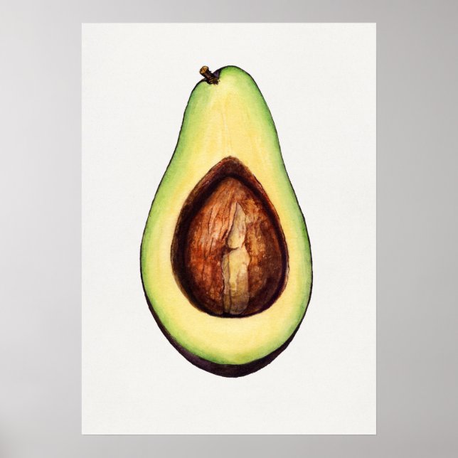 Póster Ilustracion botánico vintage (Frente)