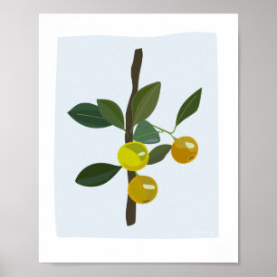 Póster Ilustracion Calamonsi Golden Lime Citrus
