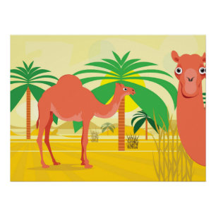 Póster Ilustracion Camels