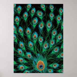 Póster Ilustracion con plumas de pavo real en negro