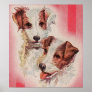 Póster ILUSTRACION CUTE Jack Russell terriers