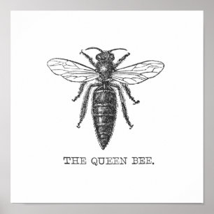 Póster Ilustración de abeja reina insecto
