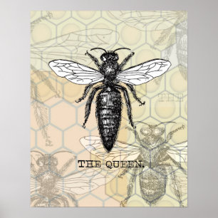 Póster Ilustración de abeja reina insecto