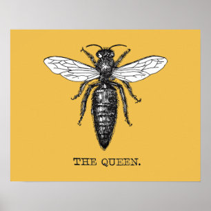 Póster Ilustración de abeja reina insecto