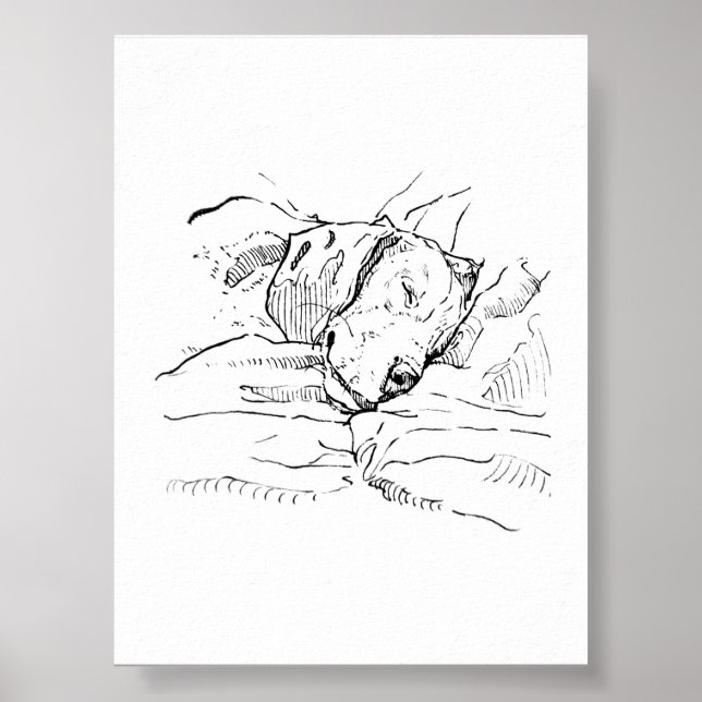 Póster Ilustración de amante de perros Beagle  (Frente)