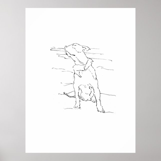 Póster Ilustración de American Staffordshire Terrier (Frente)