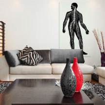 Ilustracion de anatomía del sistema nervioso human