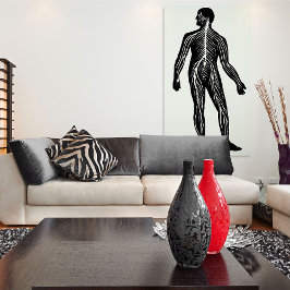 Póster Ilustracion de anatomía del sistema nervioso human