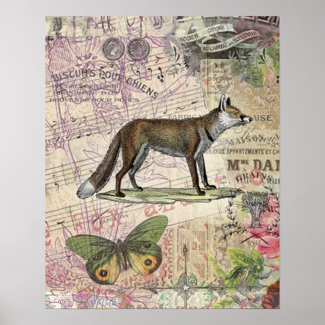 Póster Ilustracion de animales de la vida silvestre Fox (Frente)