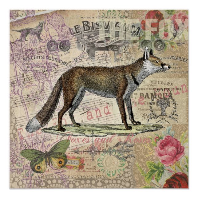 Póster Ilustracion de animales de la vida silvestre Fox (Anverso)