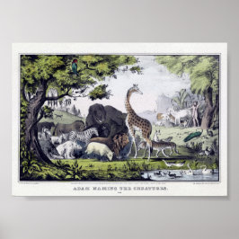 Póster Ilustracion de animales salvajes de época