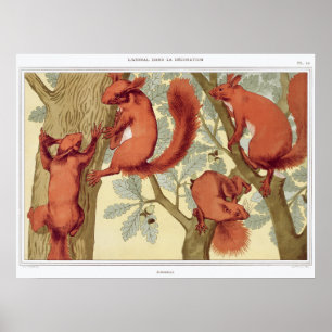 Póster Ilustracion de ardilla de época