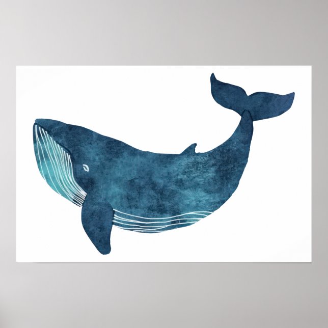 Póster Ilustracion de ballena azul pequeño (Frente)