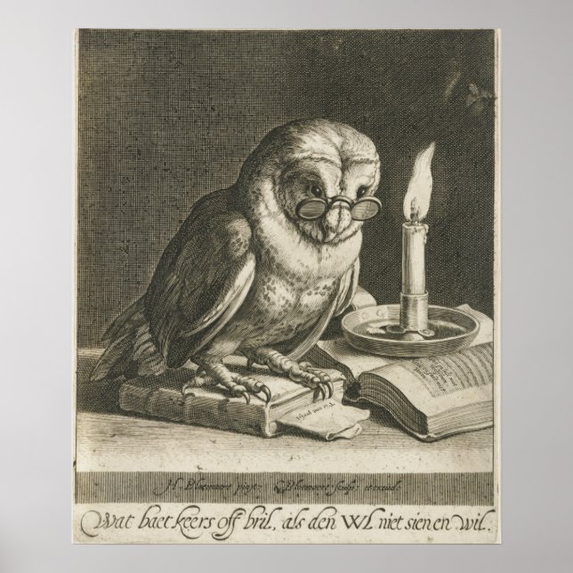 Póster Ilustracion de búho vintage (Frente)