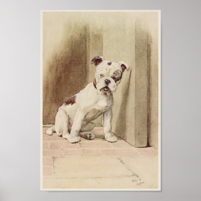 Póster Ilustracion de Bulldog inglés vintage (Frente)