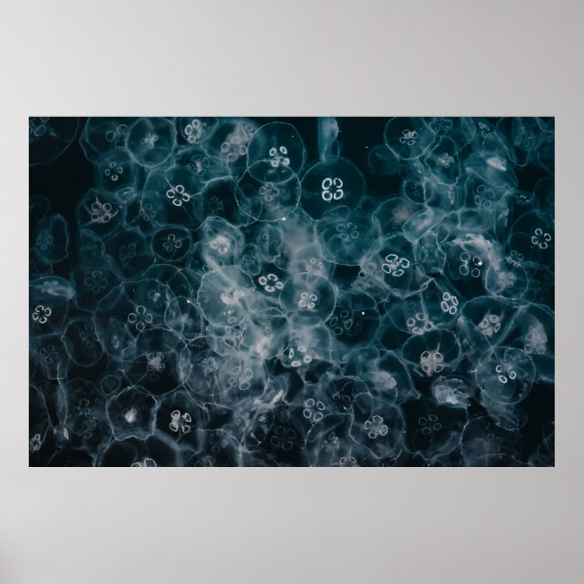 PÓSTER ILUSTRACION DE BURBUJAS AZULES Y BLANCAS (Frente)