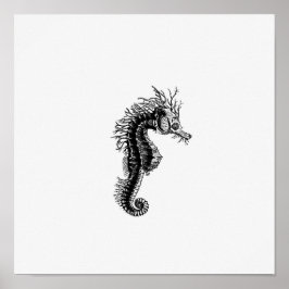 Póster Ilustracion de caballito de mar