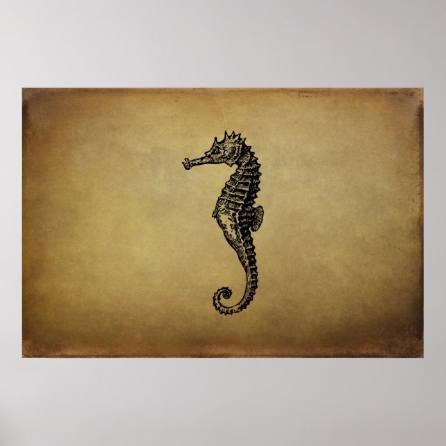Póster Ilustracion de caballito de mar de época (Frente)