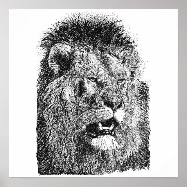 Póster Ilustración de cabeza de león macho dibujada a man (Frente)
