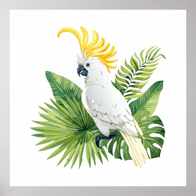 Póster Ilustración de cacatúa loro (Frente)