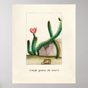 Póster Ilustracion de Cactus Vintage