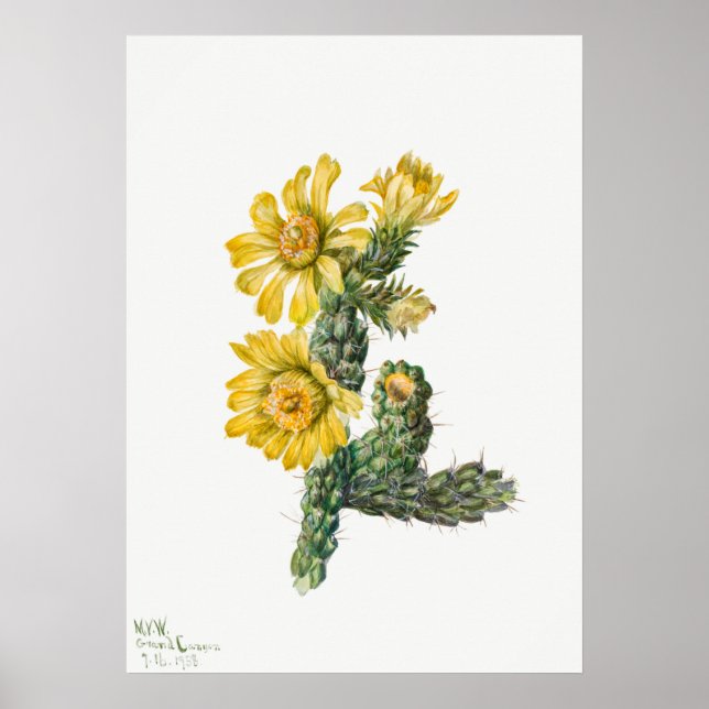 Póster Ilustracion de Cactus Vintage (Frente)