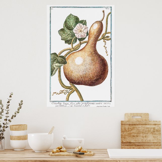 Póster Ilustracion de calabaza de época de Giorgio Bonell (Cocina)