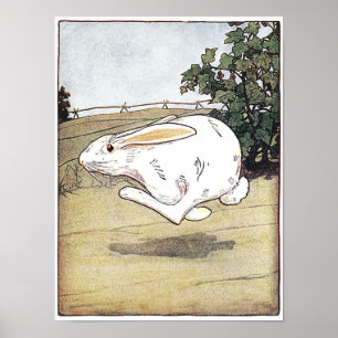 Póster Ilustración de cartel de libro infantil Little Cri