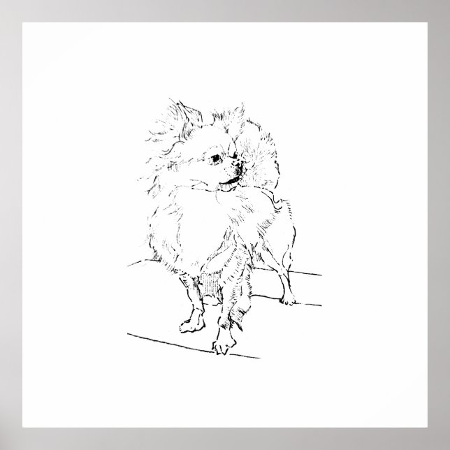 Póster Ilustración de Chihuahua de pelo largo – Decoració (Frente)